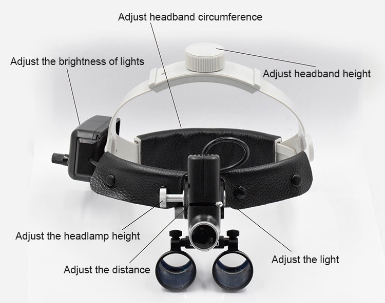 Dental Headband Loupes