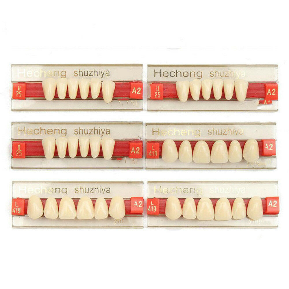 Resin teeth