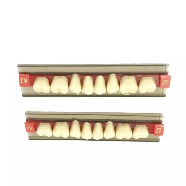 Resin teeth