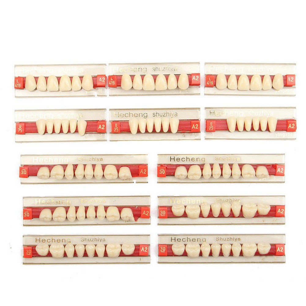 Resin teeth